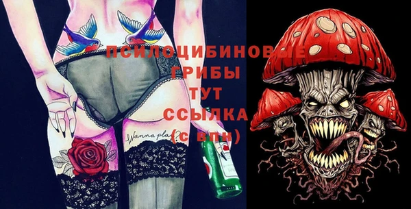 тгк Баксан