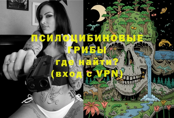 молекула духа Балахна