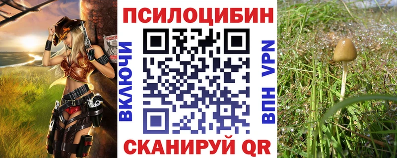 Галлюциногенные грибы Cubensis  Славск 