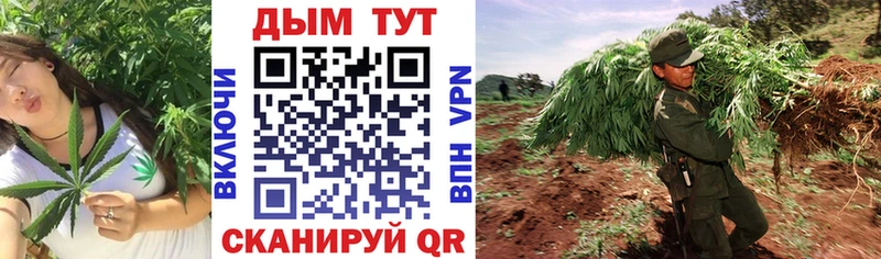 Каннабис Bruce Banner  Славск 